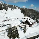 Piccola Volpe Falcade